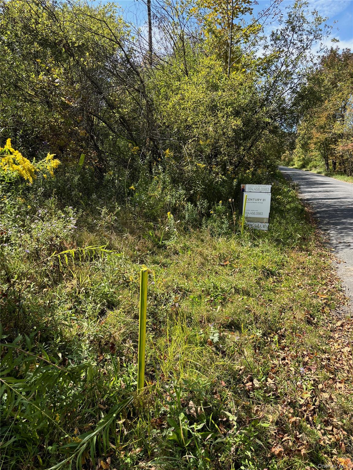 413 Middlefield Road Cooperstown, NY 13326 - Photo 22 of 23