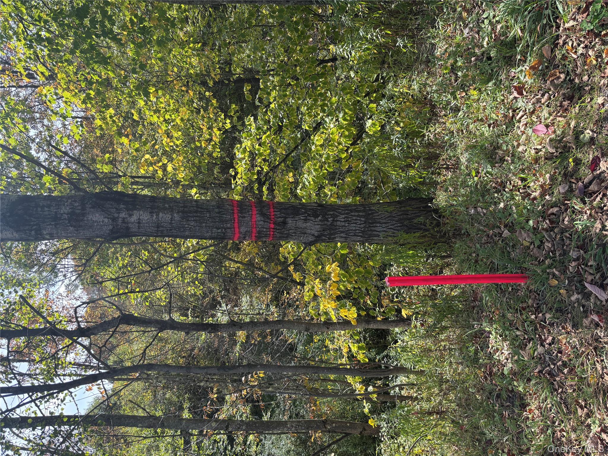 413 Middlefield Road Cooperstown, NY 13326 - Photo 4 of 23