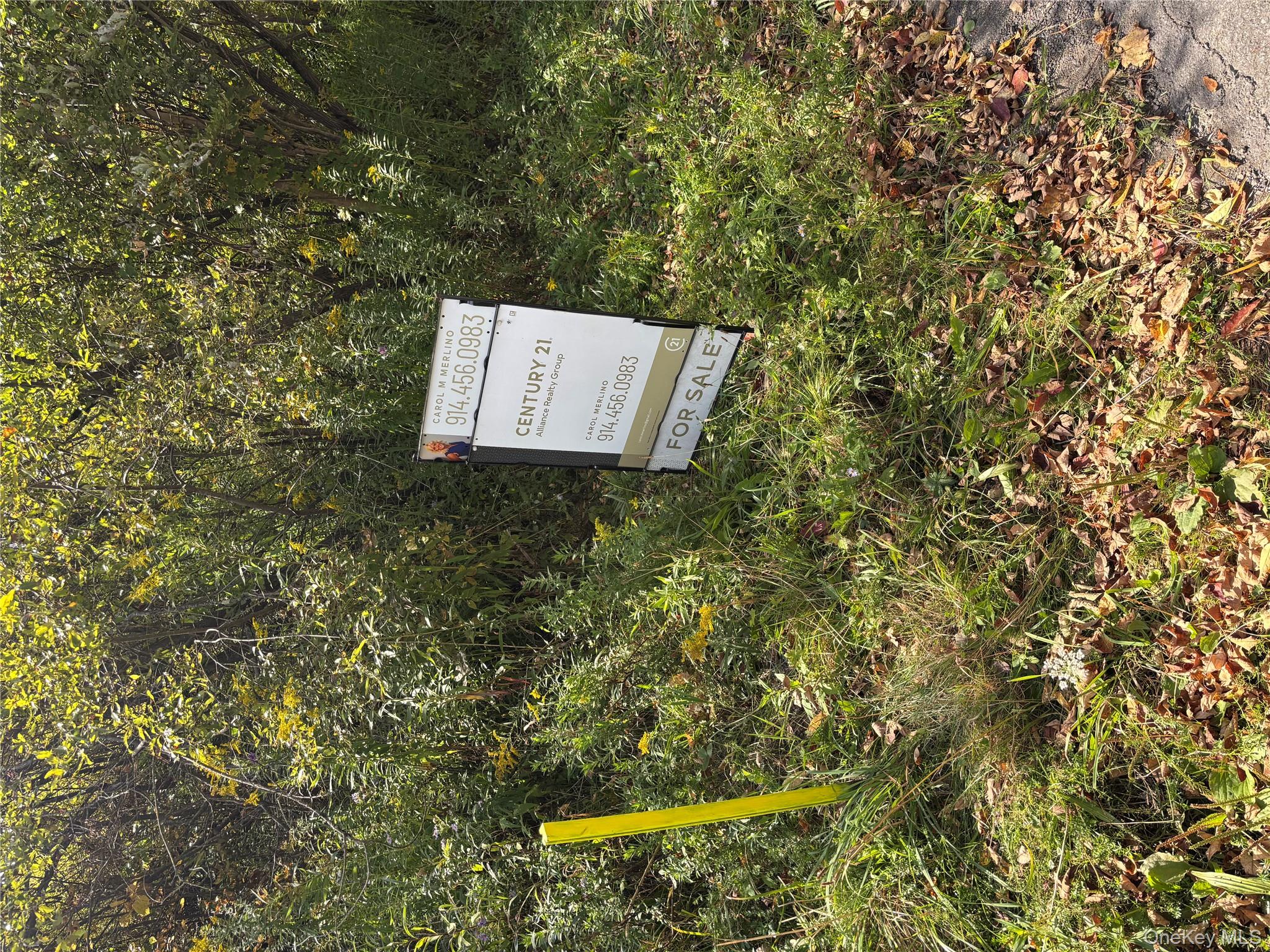 413 Middlefield Road Cooperstown, NY 13326 - Photo 6 of 23