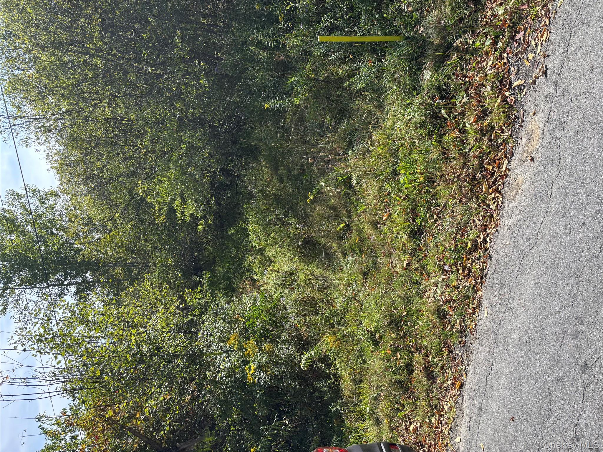 413 Middlefield Road Cooperstown, NY 13326 - Photo 7 of 23