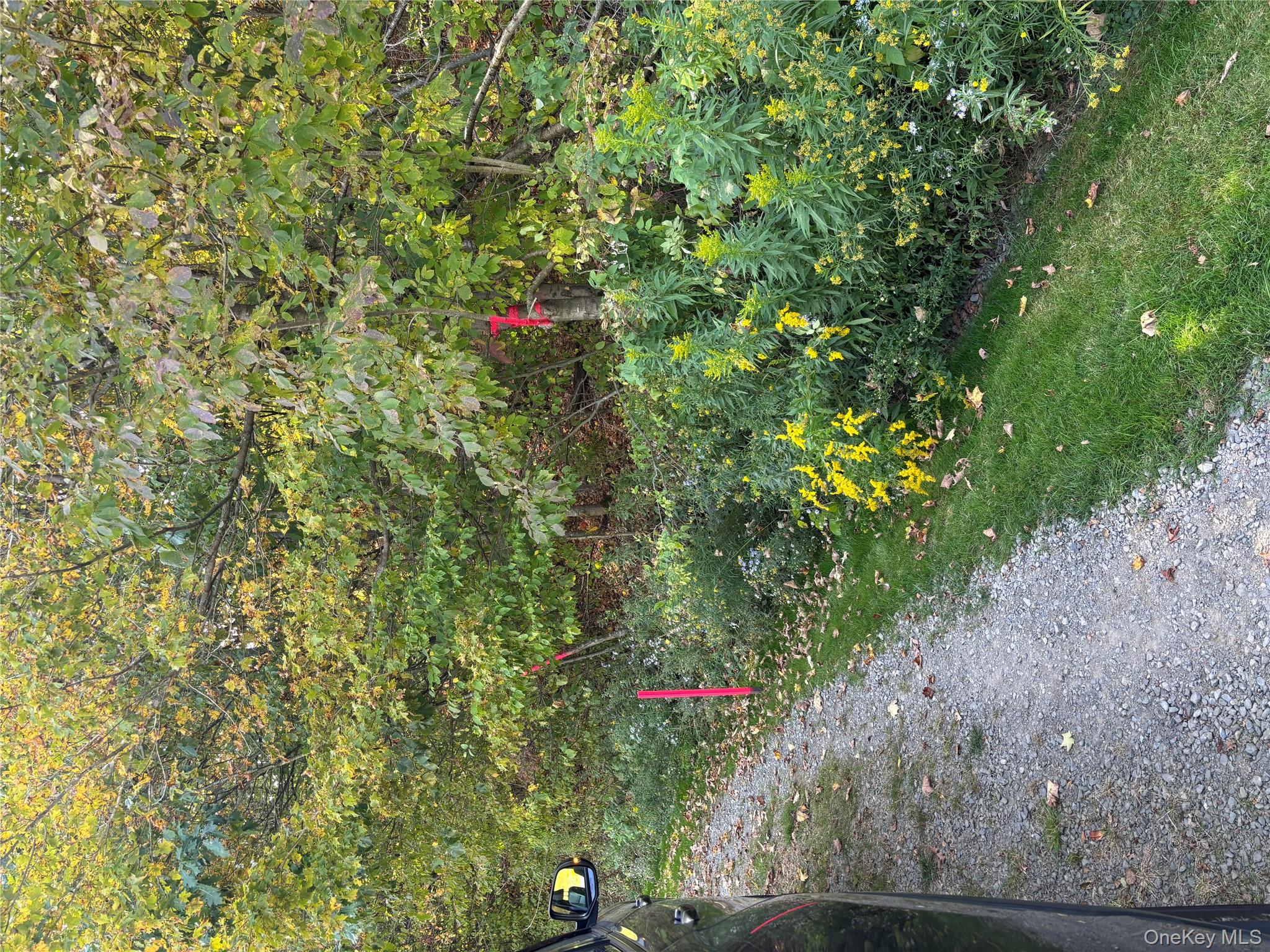 413 Middlefield Road Cooperstown, NY 13326 - Photo 8 of 23