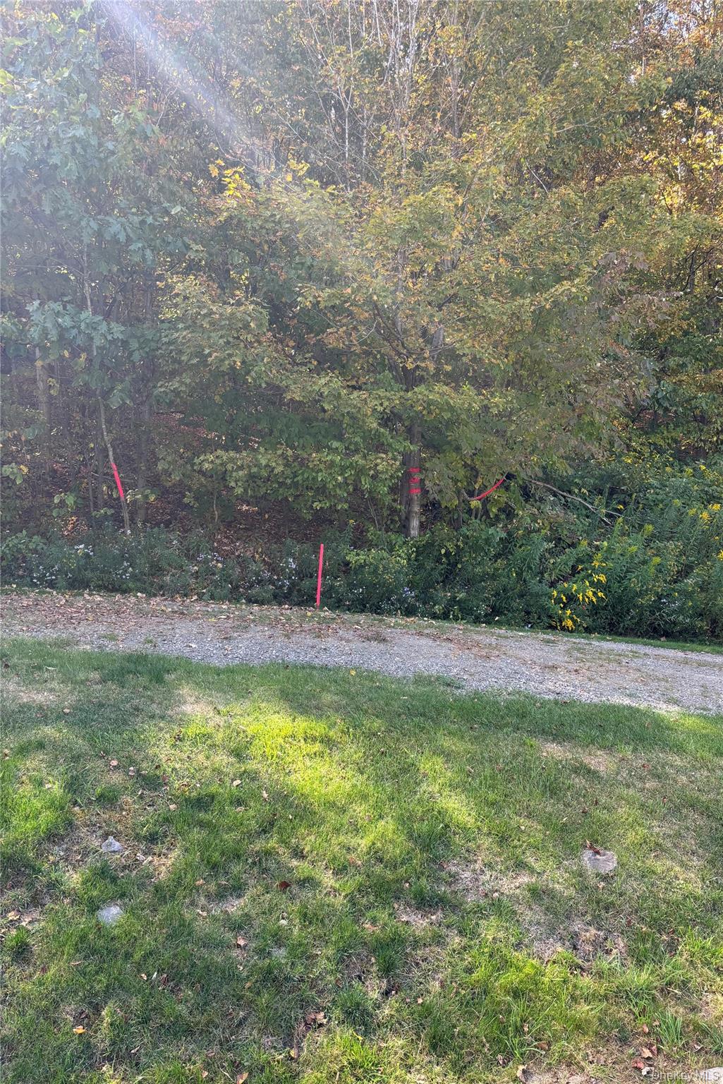 413 Middlefield Road Cooperstown, NY 13326 - Photo 10 of 23 Property line