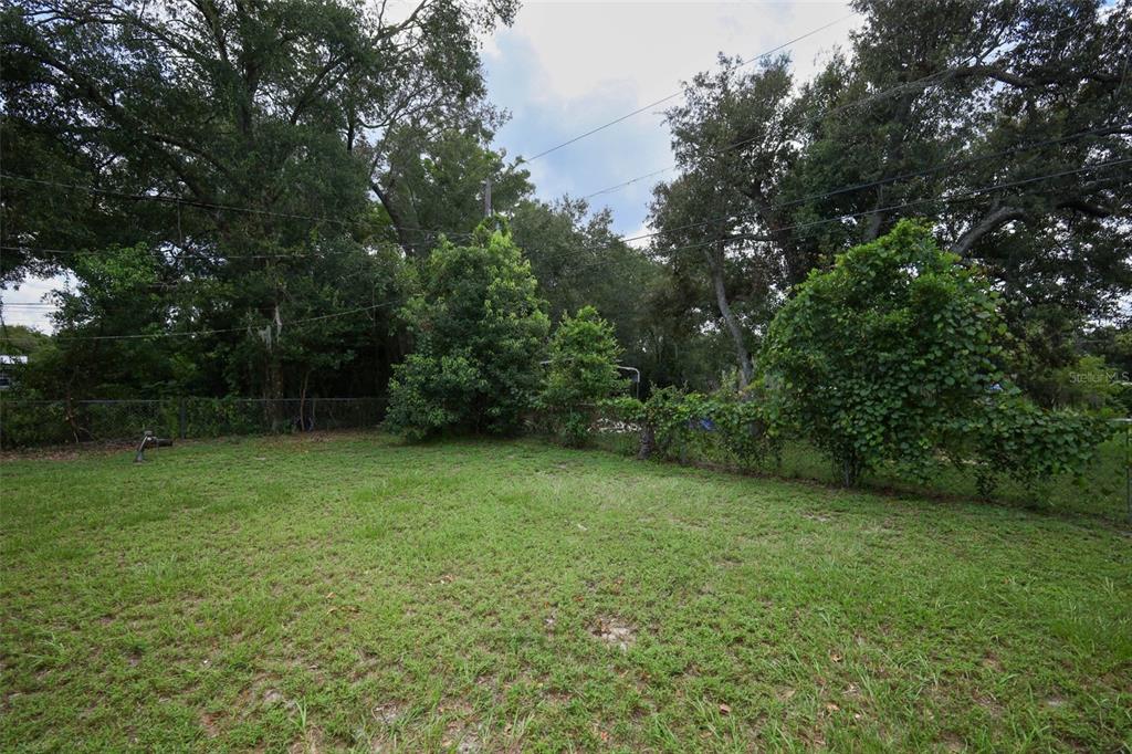 124 Salem Street Altamonte Springs, FL 32701 - Photo 39 of 45 a view of a green yard