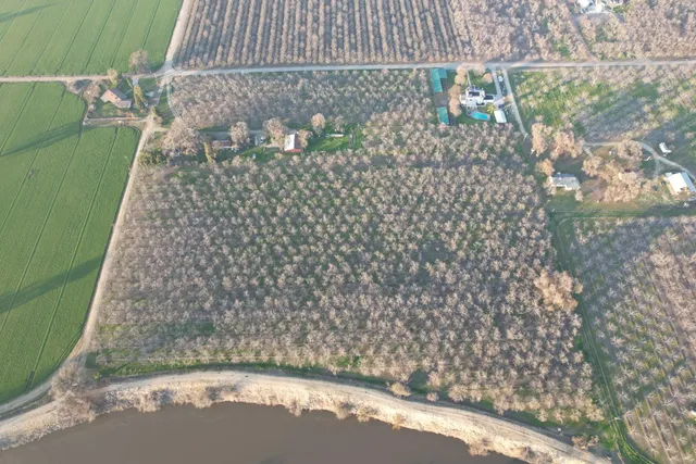 a view of outdoor space with trees all around