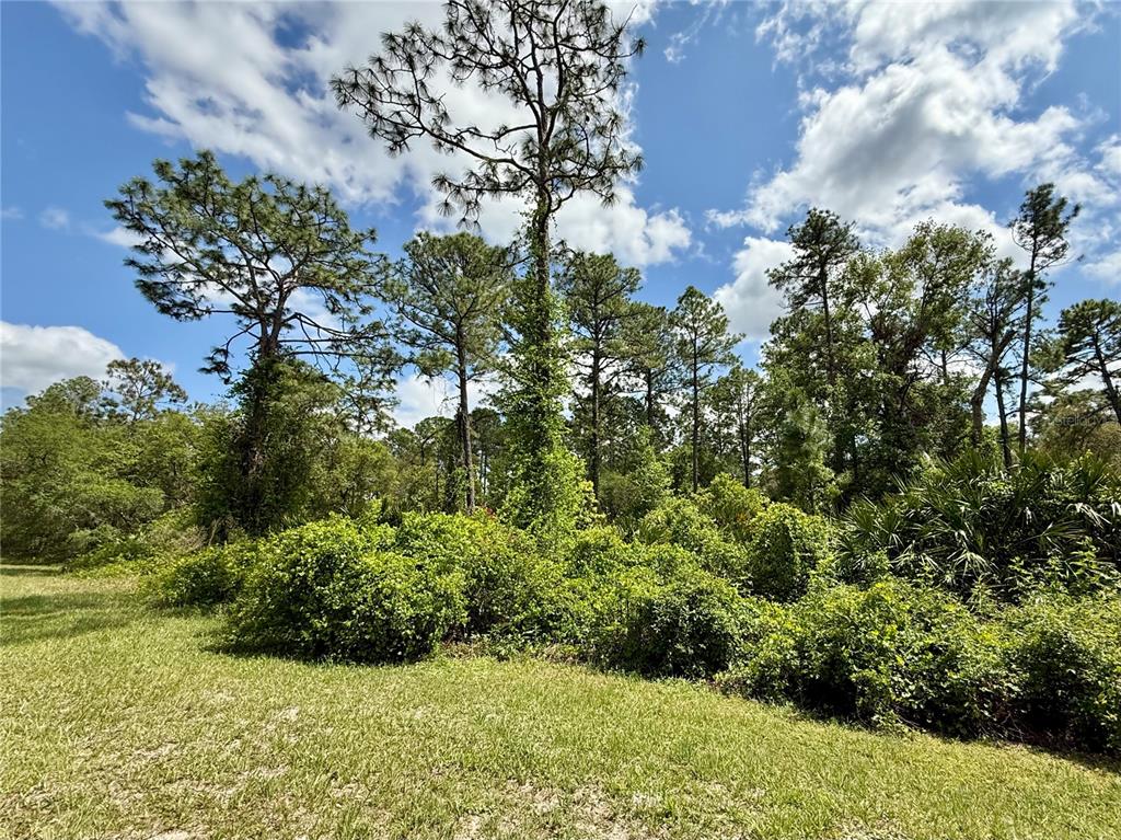2 Quince Avenue Eustis, FL 32736 - Photo 12 of 22 a view of a garden