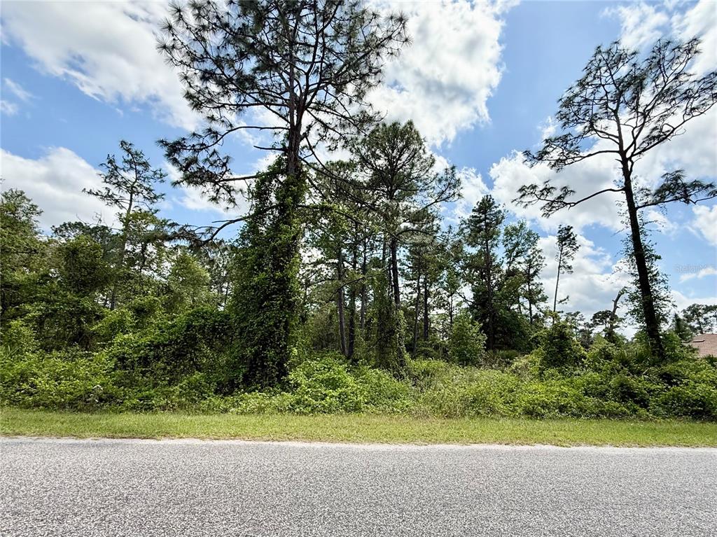 2 Quince Avenue Eustis, FL 32736 - Photo 13 of 22 a view of outdoor space and yard