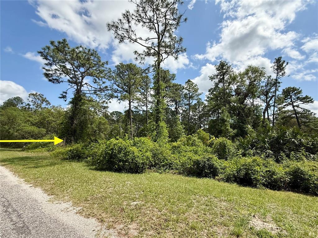 2 Quince Avenue Eustis, FL 32736 - Photo 2 of 22 a view of a garden with plants and large trees