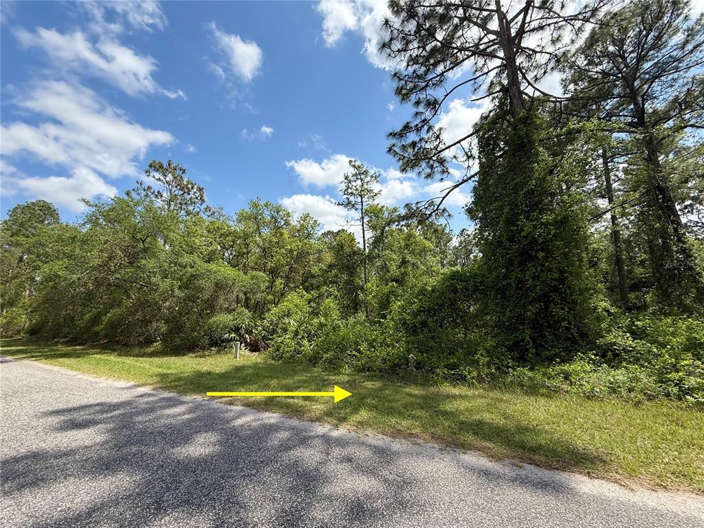 2 Quince Avenue Eustis, FL 32736 - Photo 3 of 22 a view of a yard