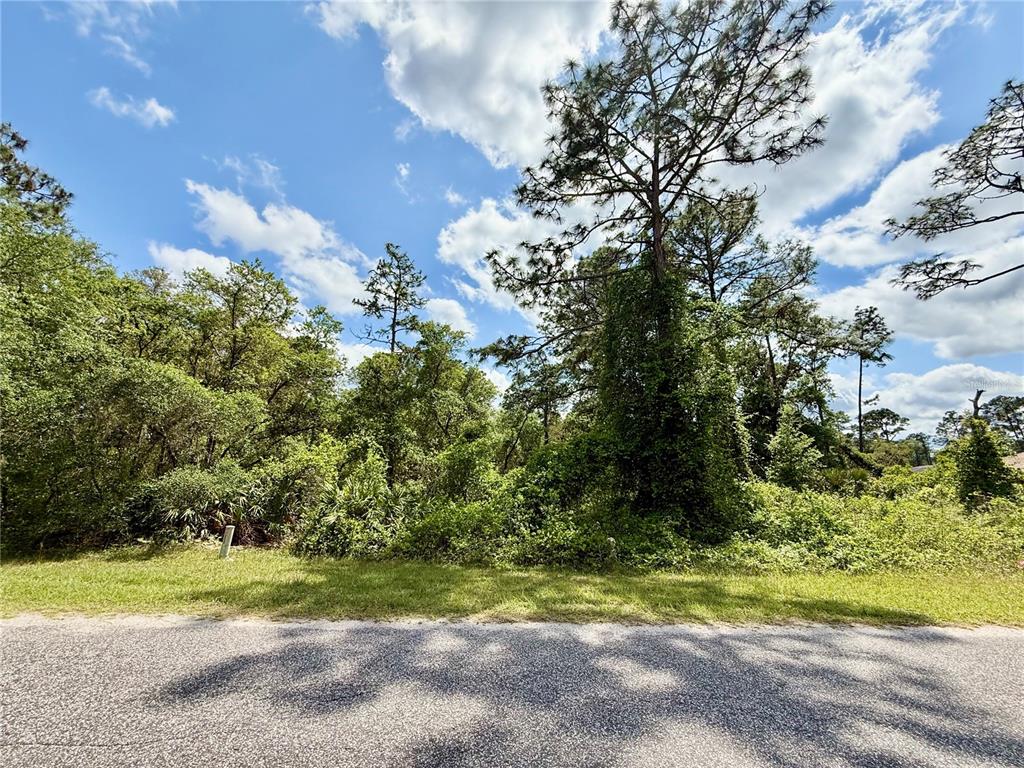 2 Quince Avenue Eustis, FL 32736 - Photo 6 of 22 a view of a yard with a house and a street view
