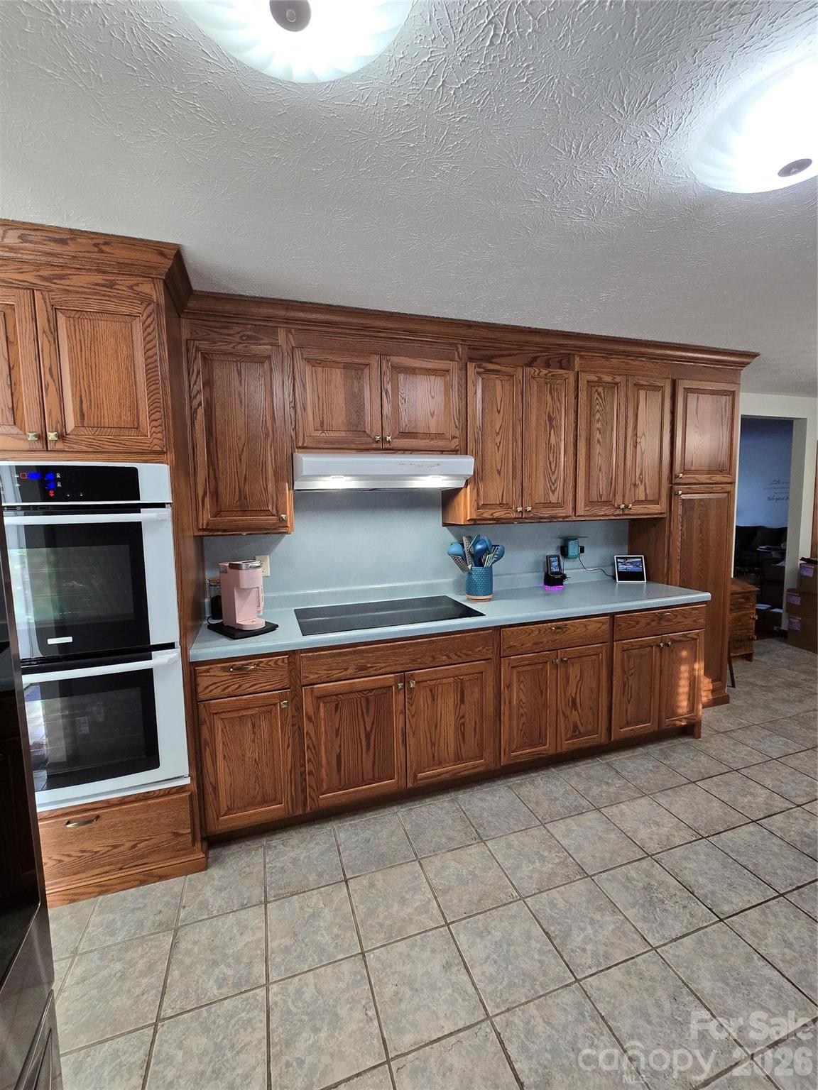 476 Jackson Loop Road Flat Rock, NC 28731 - Photo 3 of 37