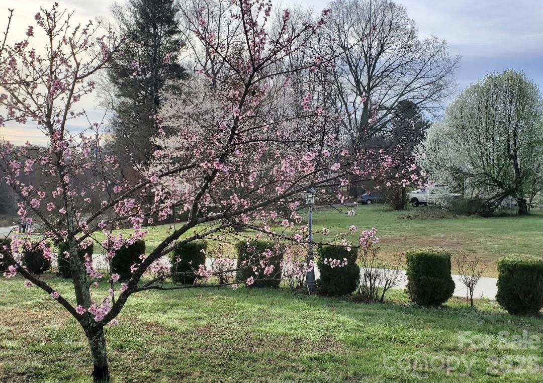 476 Jackson Loop Road Flat Rock, NC 28731 - Photo 33 of 37 a view of a house with a yard