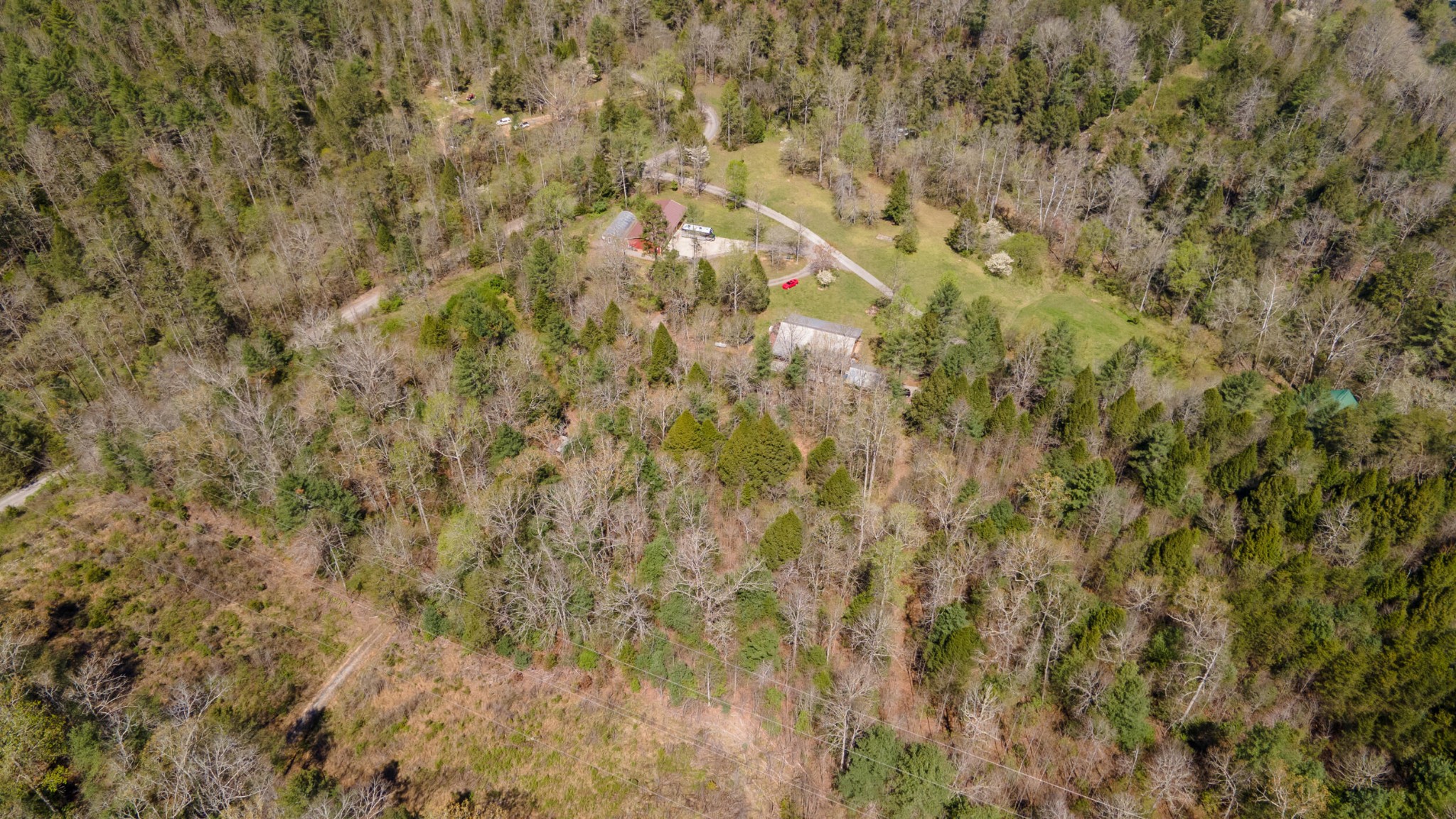 1487 Spring Creek Road Reliance, TN 37369 - Photo 49 of 55 Gallery Image 49