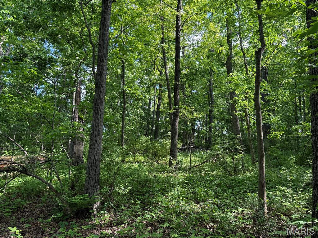 4157 Wetzler Road Fults, IL 62244 - Photo 47 of 48 Gallery Image 47