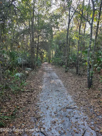a view of a large yard with lots of trees