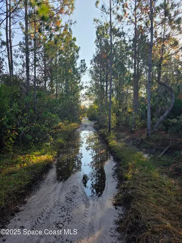 a big yard with lots of green space and trampoline