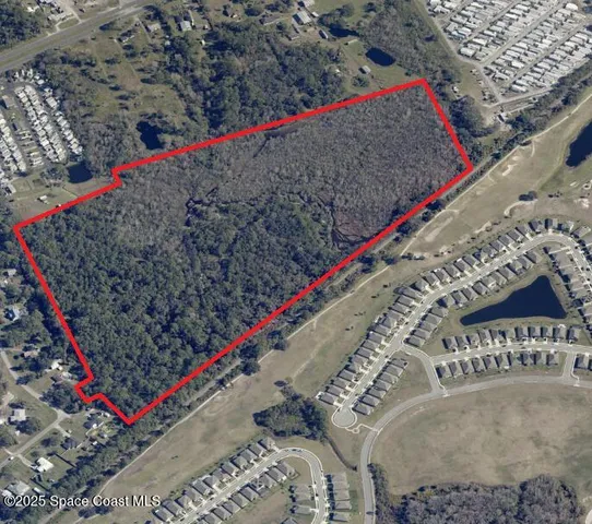 a view of a park with plants