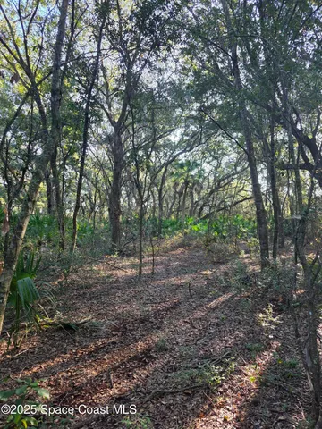 $1,350,000 | 0 Wood Duck Drive, Mims, FL 32754