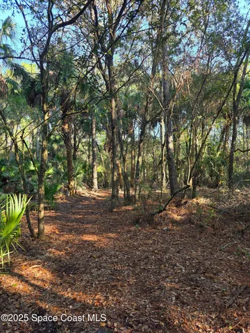 $1,350,000 | 0 Wood Duck Drive, Mims, FL 32754