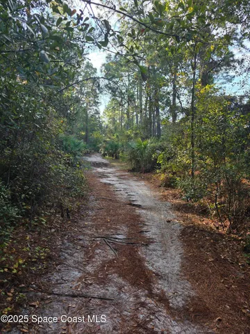 a view of a yard with a tree