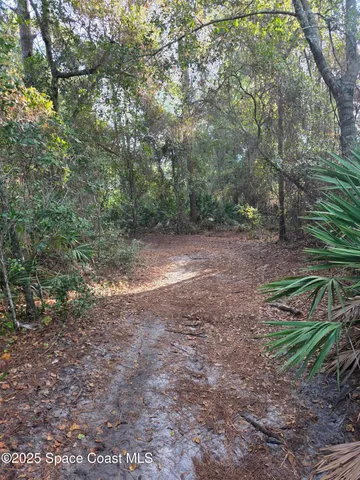 a view of a yard with plants and trees