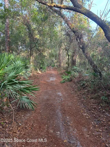 a view of a yard with a trees