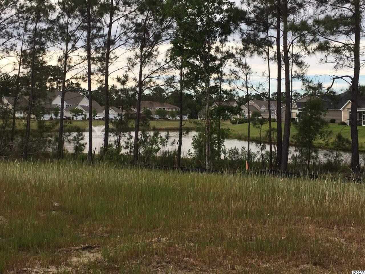 131 Glengrove Lane Murrells Inlet, SC 29576 - Photo 3 of 40 Gallery Image 3