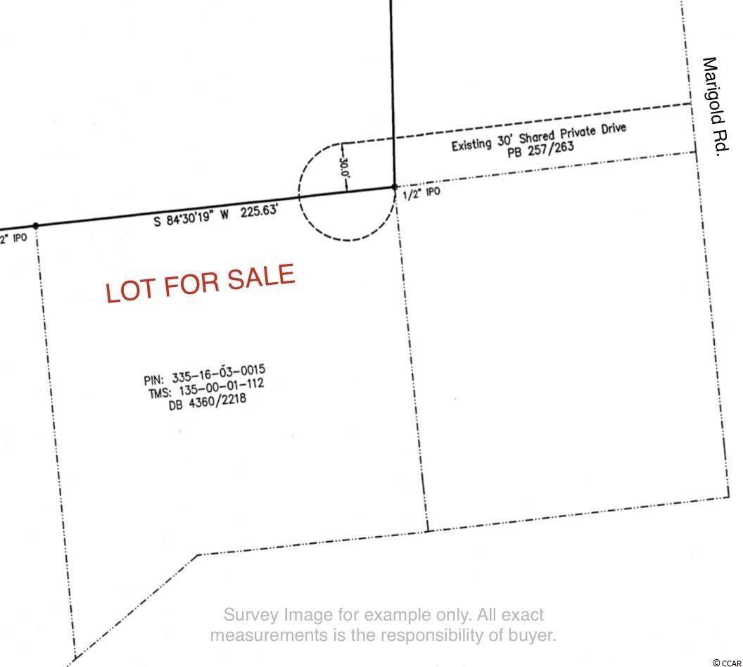 5083 Marigold Road Conway, SC 29527 - Photo 3 of 5 Gallery Image 3
