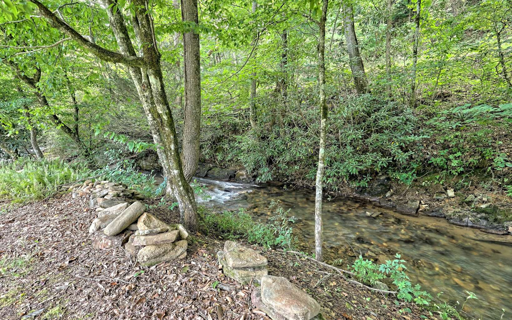 9596 Tusquittee Road Hayesville, NC 28904 - Photo 61 of 69 Additional View