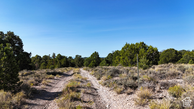 123 Tbd Prout Wash Road North Cedar City, UT 84721 - Photo 43 of 82