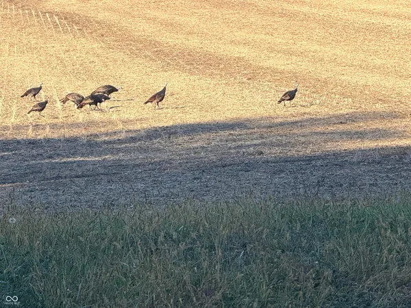 $799,900 | 5697 East County Road 300 North, Fillmore, IN 46128