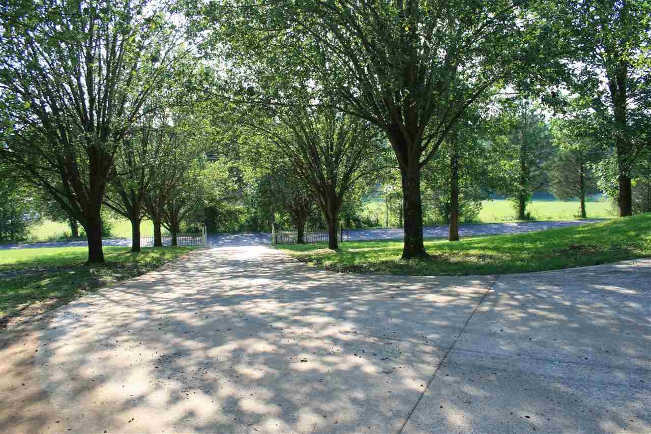 400 Dean Drive Northwest Georgetown, TN 37336 - Photo 29 of 38 a view of a park with tree s