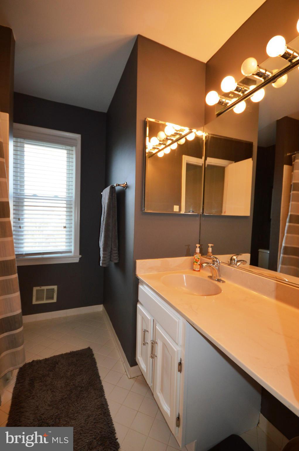 15119 Philip Lee Road Chantilly, VA 20151 - Photo 11 of 23 Bath (Master)