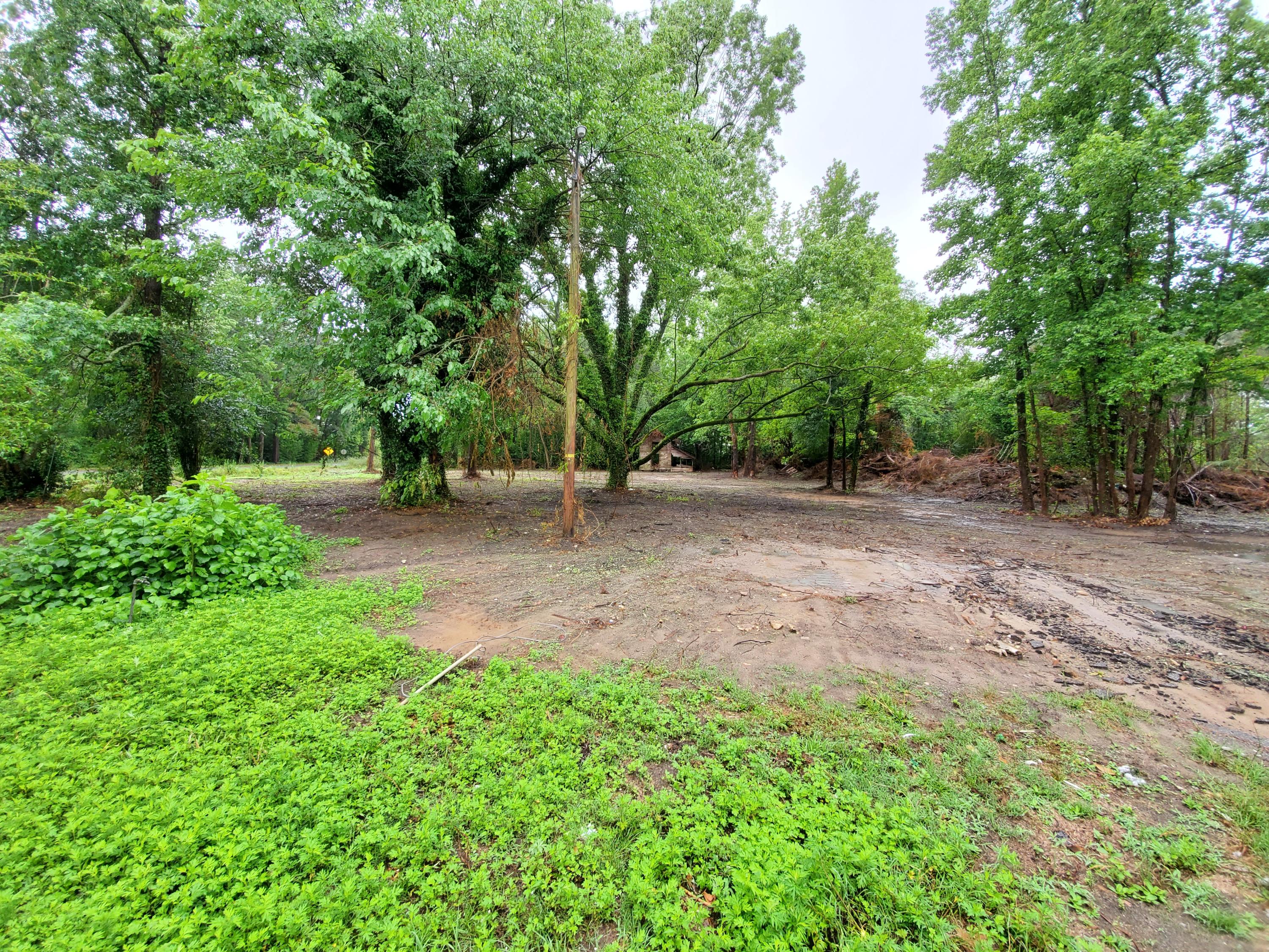 781 Durhams Corner Road Reevesville, SC 29471 - Photo 4 of 27 20200527_113243 (1)