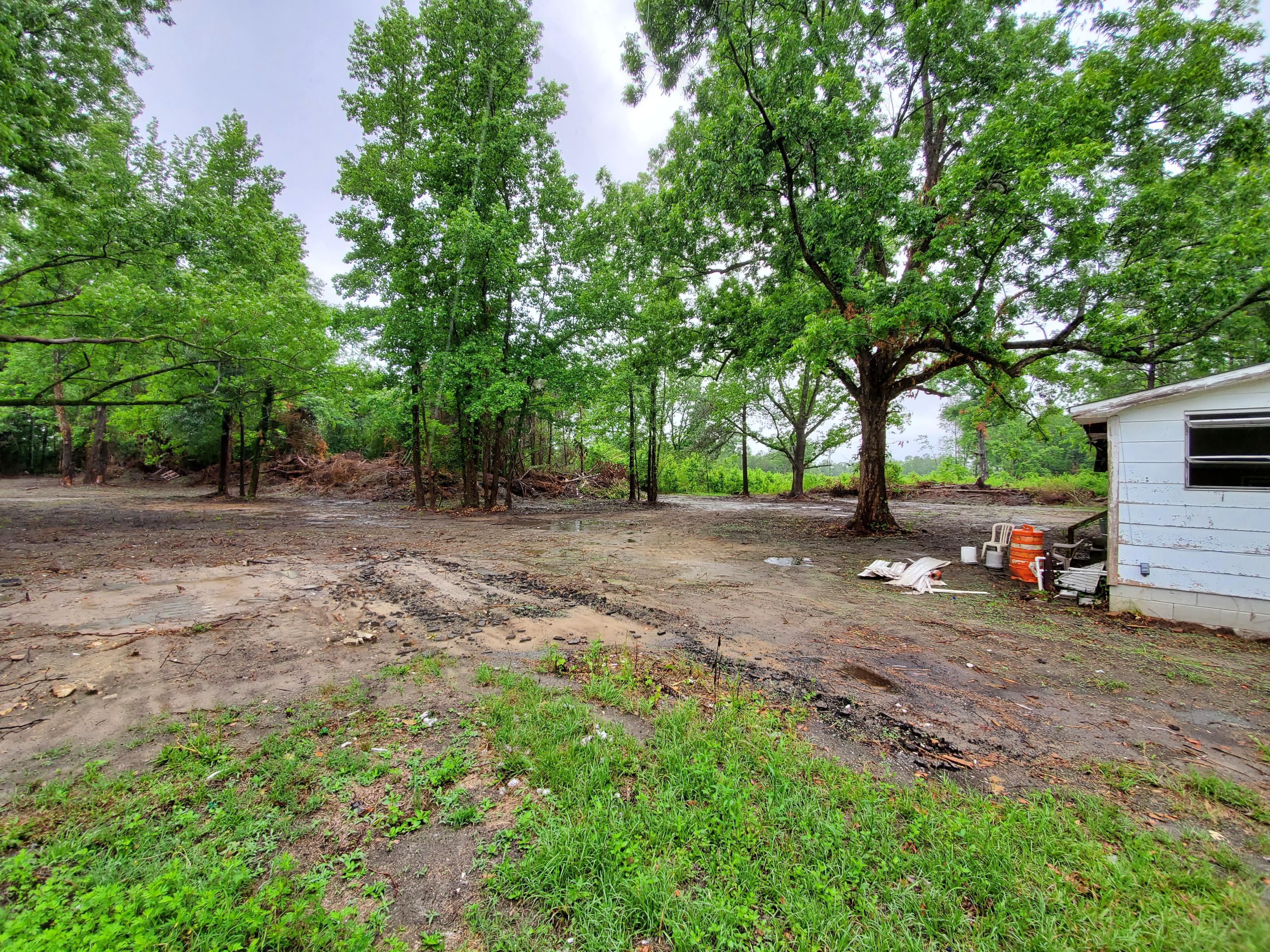 781 Durhams Corner Road Reevesville, SC 29471 - Photo 5 of 27 20200527_113247 (1)