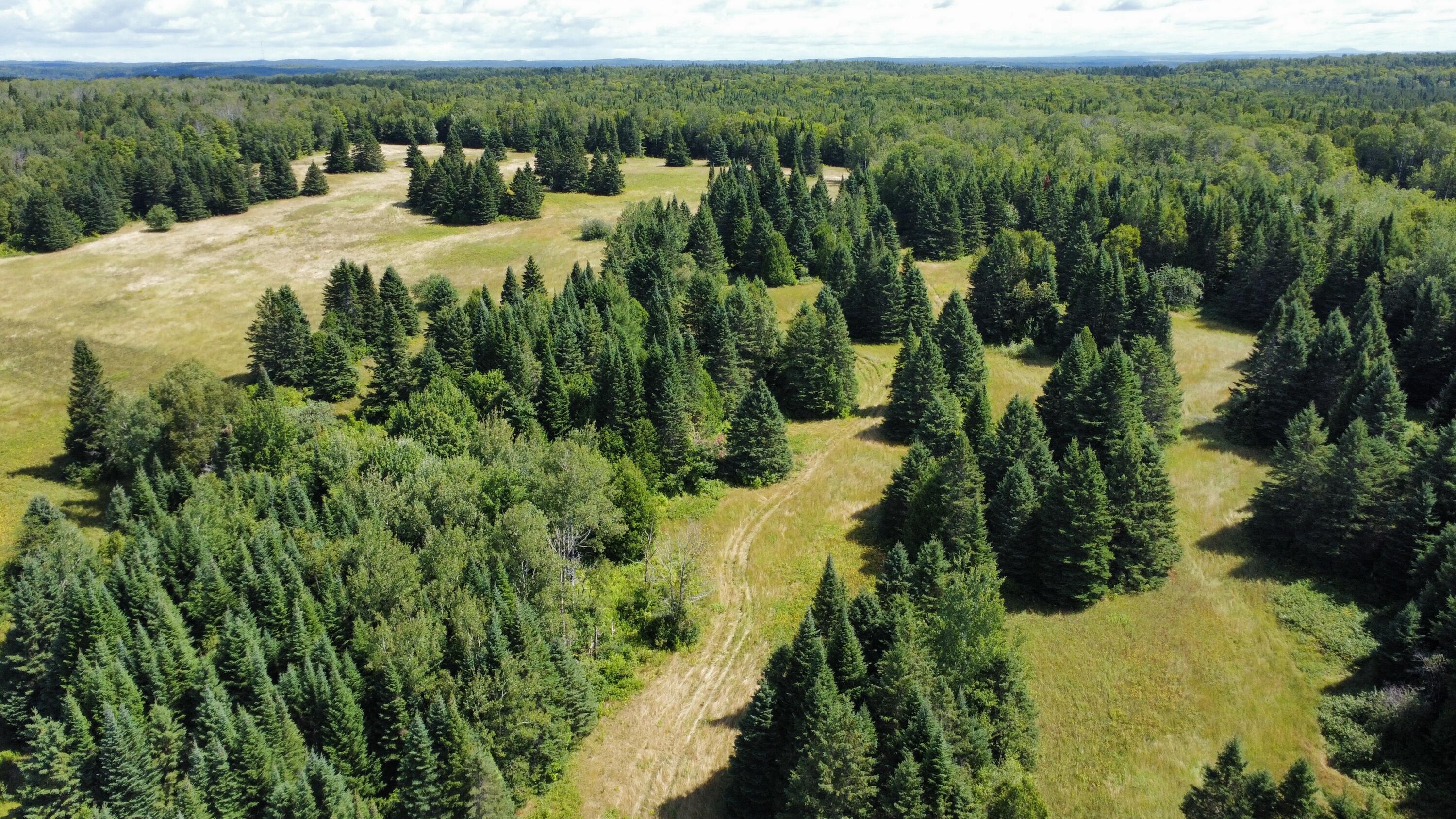 1075 W Road New Sweden, ME 04762 - Photo 129 of 150 dji_fly_20260814_114900_625_178672996198