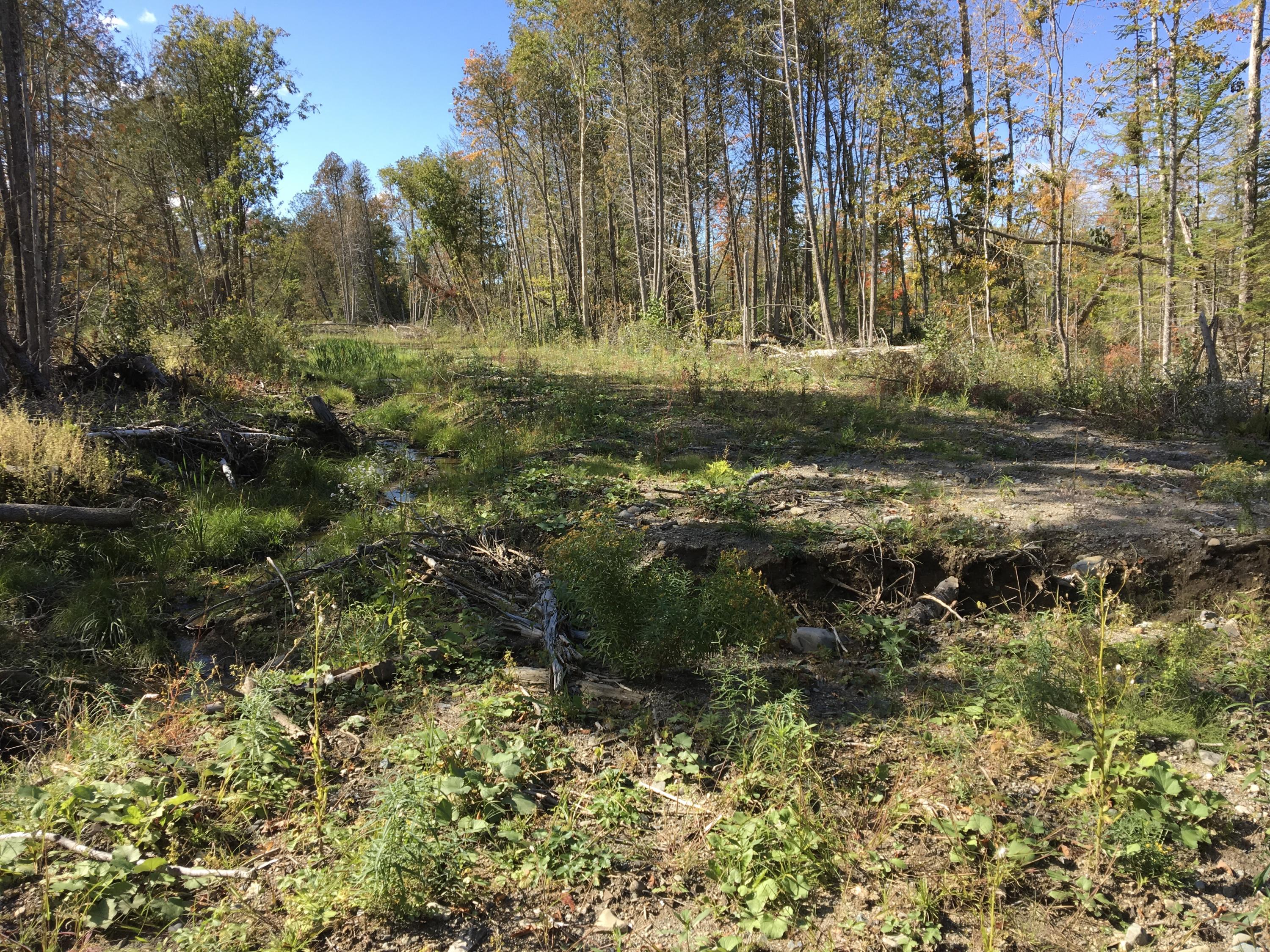 1 Beans Mill Road Corinth, ME 04427 - Photo 6 of 6 Photo Sep 27, 1 35 28 PM