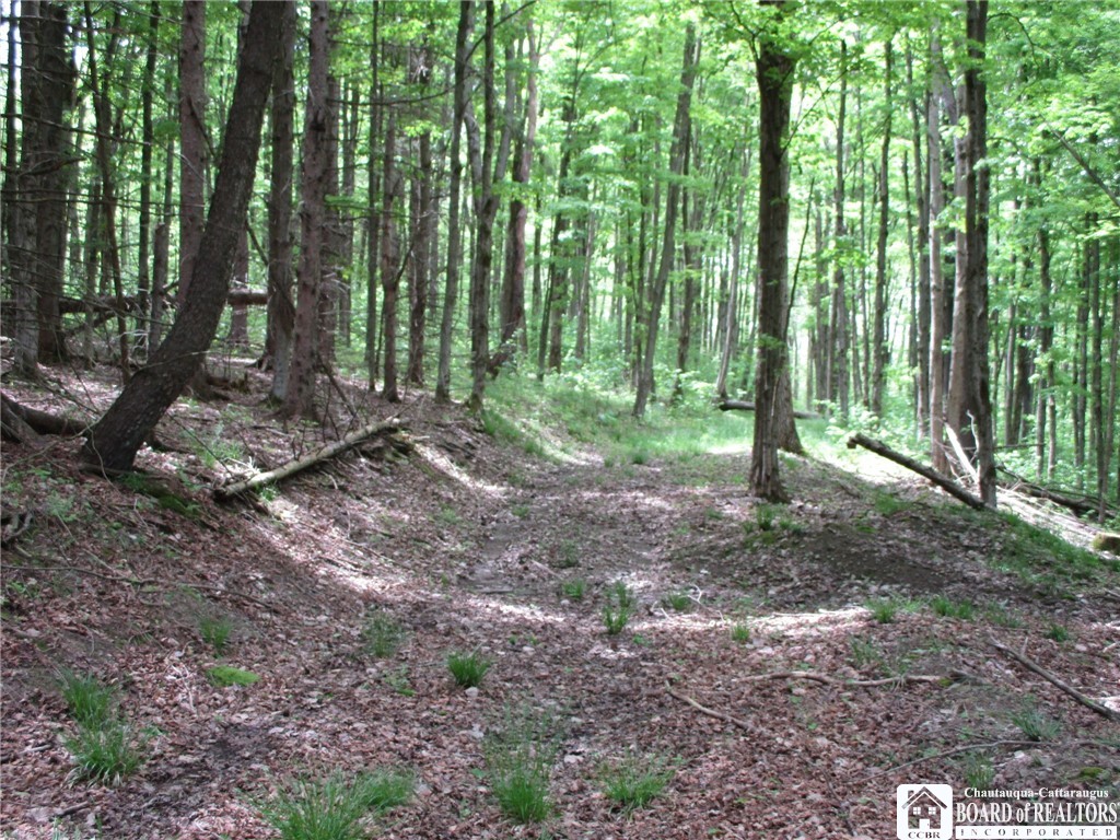 Yankee Road Cuba, NY 14727 - Photo 21 of 31