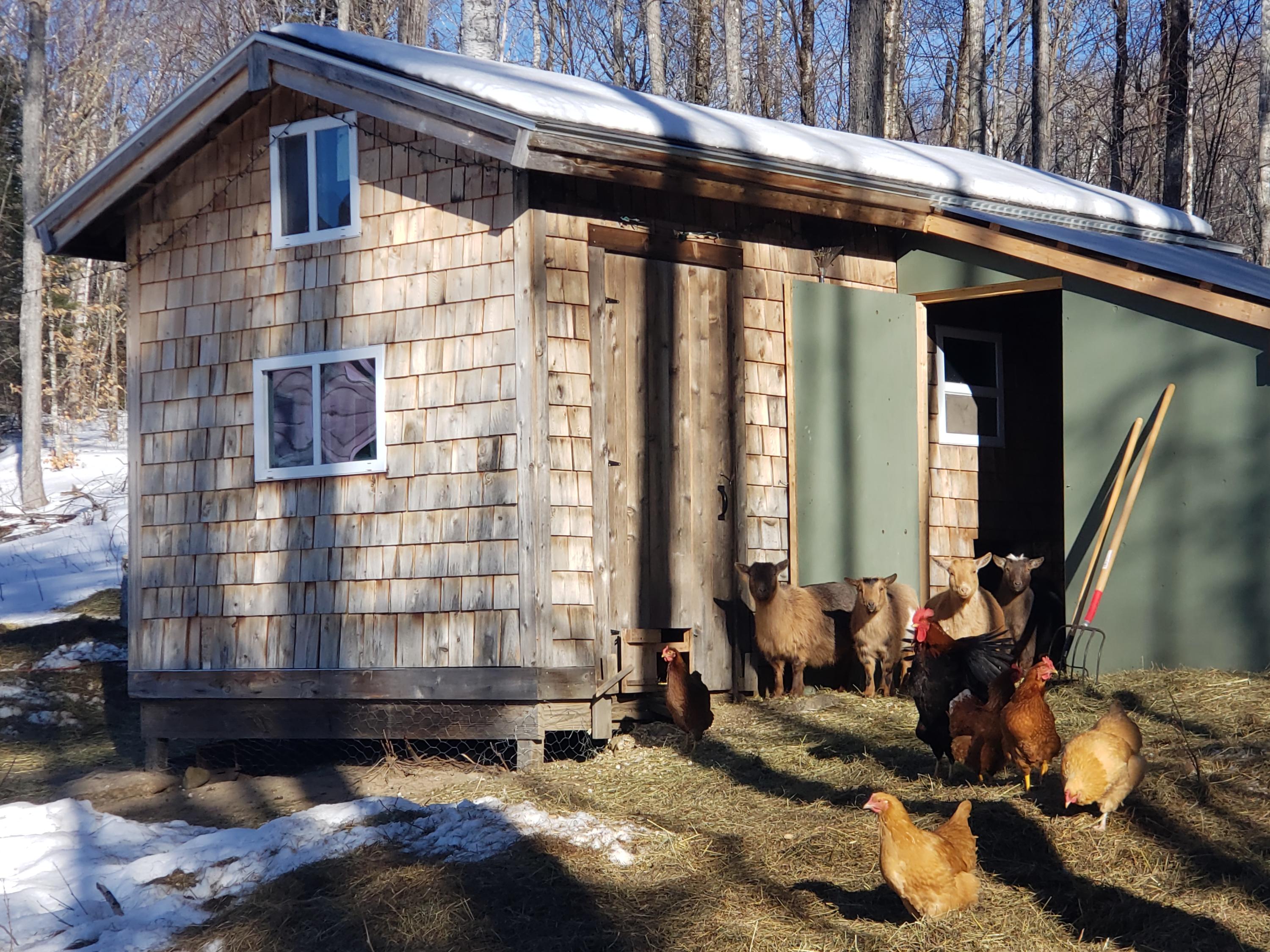 19 Alder Brook Road Wilton, ME 04294 - Photo 79 of 89 20200205_142921