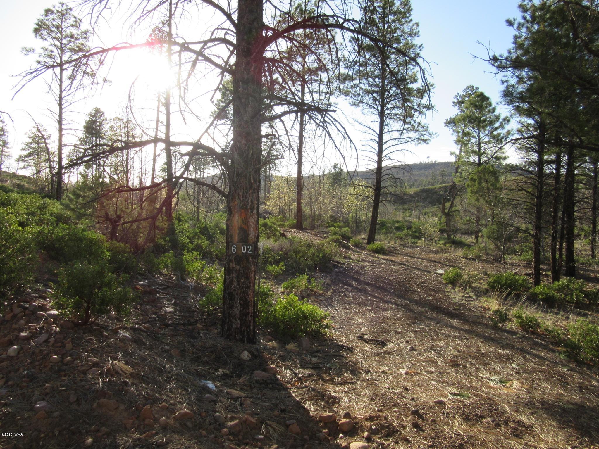 6202 Juniper Ridge Road Show Low, AZ 85901 - Photo 1 of 28 Gallery Image 1