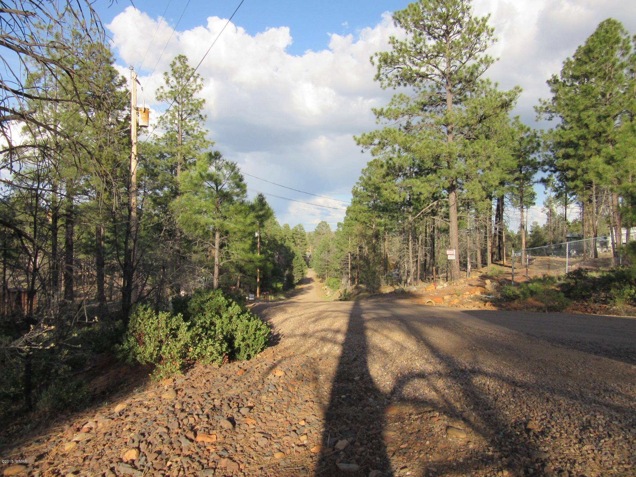 6202 Juniper Ridge Road Show Low, AZ 85901 - Photo 23 of 28 Gallery Image 23