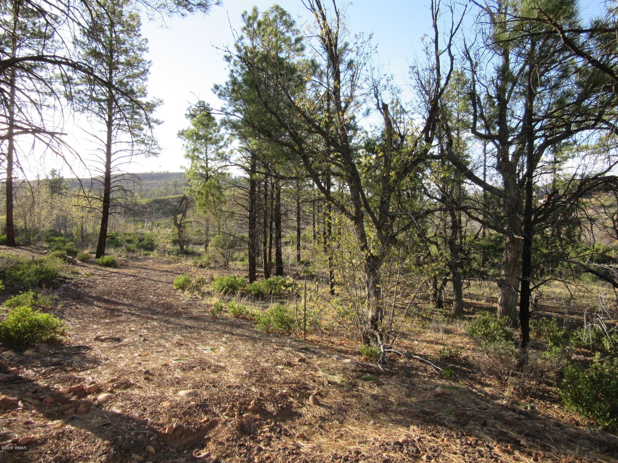6202 Juniper Ridge Road Show Low, AZ 85901 - Photo 24 of 28 Gallery Image 24