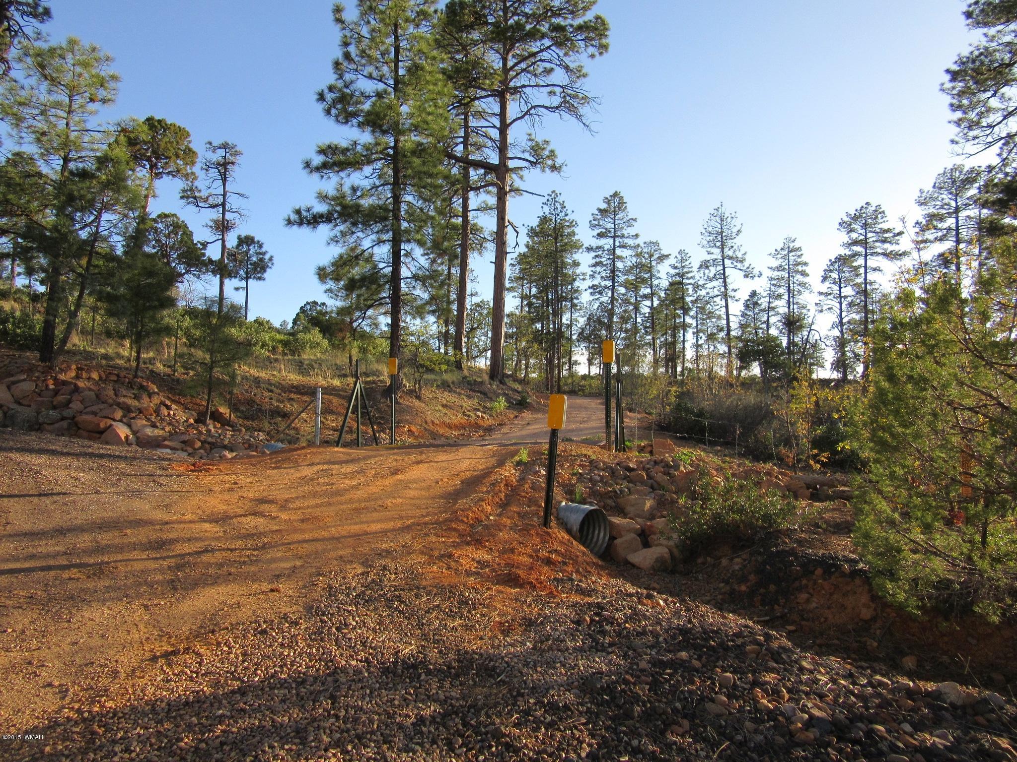 6202 Juniper Ridge Road Show Low, AZ 85901 - Photo 28 of 28 Gallery Image 28