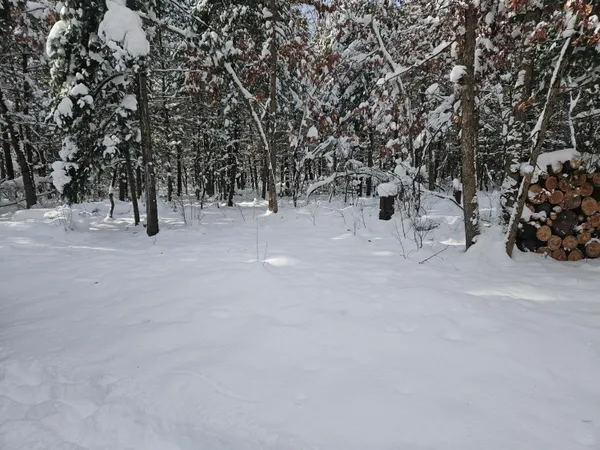 $39,900 | 7106 North M-37, Irons, MI 49644