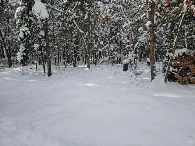 $39,900 | 7106 North M-37, Irons, MI 49644