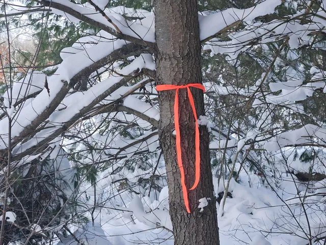 $39,900 | 7106 North M-37, Irons, MI 49644