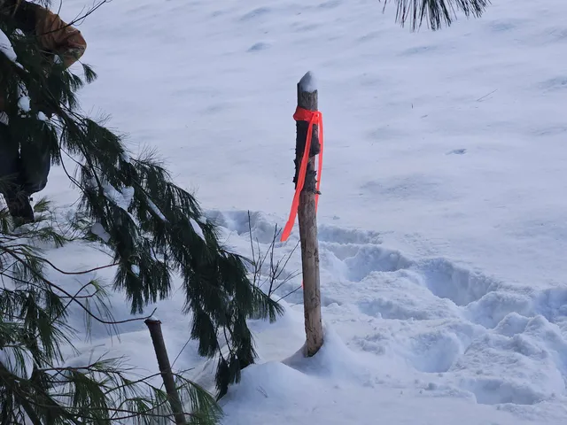 $39,900 | 7106 North M-37, Irons, MI 49644