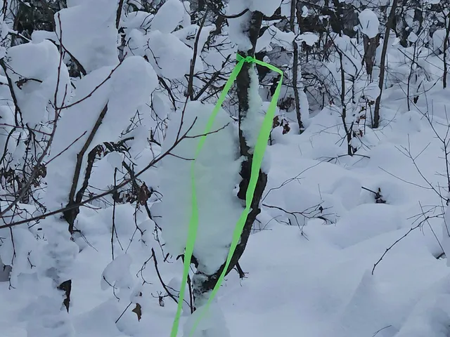 $39,900 | 7106 North M-37, Irons, MI 49644