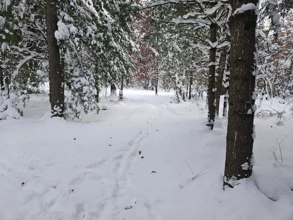 $39,900 | 7106 North M-37, Irons, MI 49644