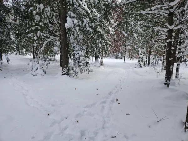 $39,900 | 7106 North M-37, Irons, MI 49644