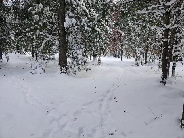 $39,900 | 7106 North M-37, Irons, MI 49644